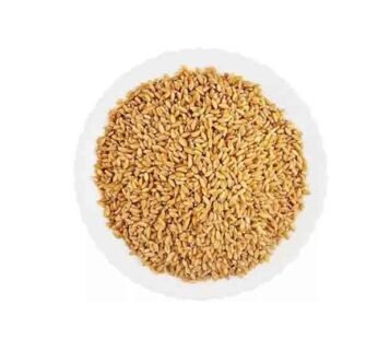 Wheat M P Sihore
