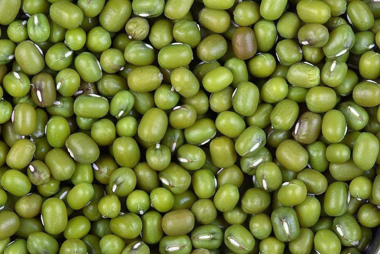Akkha Moong (Green)
