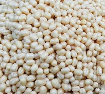 White Urad Dal
