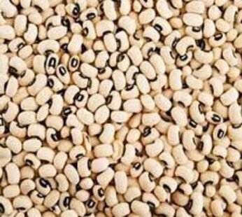 Barik Chawli (Small)